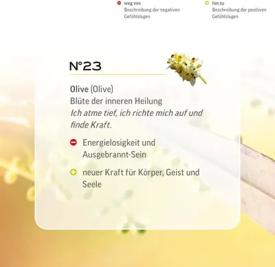 Produktbild von Bachblüten Tropfen N°23 - Olive 20ml