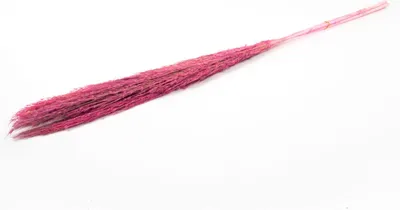 Produktbild von INNA-Glas Schilf getrocknet DONJETA, pink, 115-120cm, Ø15cm - Getrockneter Bund