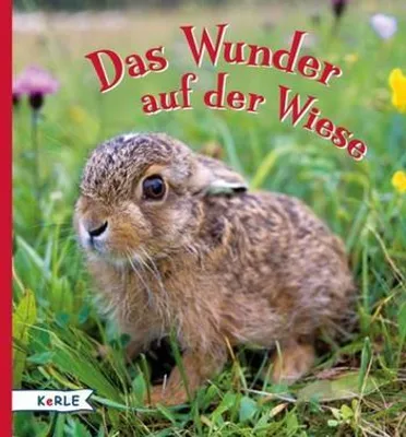Produktbild von Das Wunder auf der Wiese