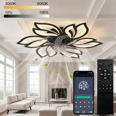 Produktbild von Deckenventilator mit LED Beleuchtung 65cm Schwarz, Leiser DC Motor, 6 Windstufen, Vorwärts-/Rückwärtslauf, APP & Fernbedienung, 3 Lichtfarben, Dimmbar