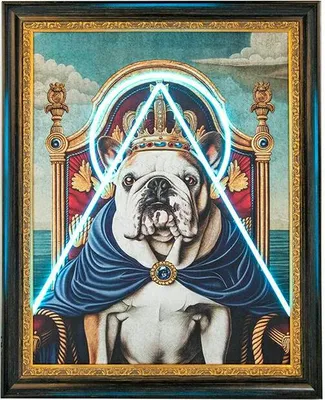 Obrázok produktu pre Obraz NEON BULLDOG 80x100 cm