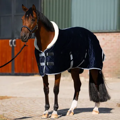 Image de Couverture d'écurie HV Polo HVPSacha 0 g pour poneys et Shetlands