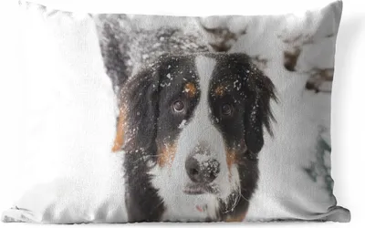 Produktbild von MuchoWow® Outdoor Kissen - Berner Sennenhund in einer verschneiten Landschaft - 60x40 cm - Wetterfest - Lounge Kissen - Zierkissen - Kissen für Innenräume