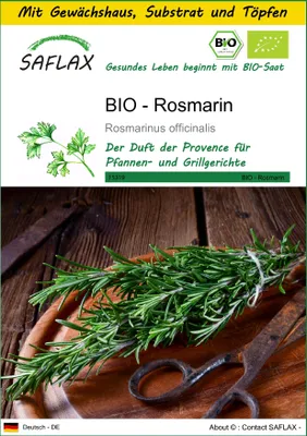 Produktbild von SAFLAX Anzucht Set - BIO - Rosmarin - Rosmarinus officinalis - 40 Samen - Mit Mini-Gewächshaus, Anzuchtsubstrat und 2 Töpfen
