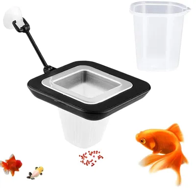 Produktbild von Futterring für Aquarien mit Saugnapf – Schwimmendes Futterstation für Fische