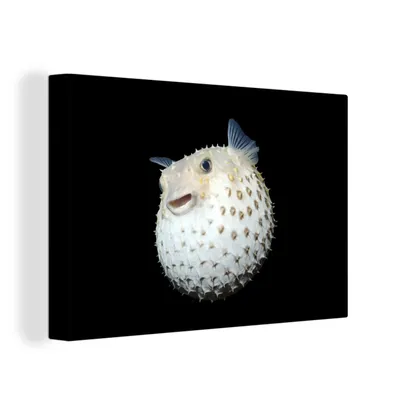 Obrázek produktu pro OneMillionCanvasses® Malba na plátně Nástěnná malba na plátně - Ryby - Mořští živočichové - Portrét - 150x100cm