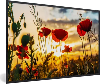 Produktbild von MuchoWow® Gerahmtes Poster Rote Mohnblumen bei Sonnenaufgang 90x60 cm - Poster mit Schwarzem Bilderrahmen Wandposter Rahmen Foto Bilder - Fotorahmen - Foto-Plakat