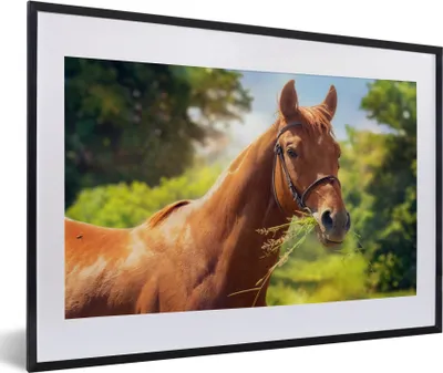 Produktbild von MuchoWow® MuchoWow® Gerahmtes Poster Pferd - Licht - Porträt 60x40 cm - Poster mit zchwarzem Bilderrahmen - Schlafzimmer - Plakat in Rahmen - Drucken