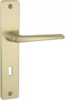 Image de Ensemble de porte Riviera 90 BEZAULT Entraxe 195 mm Champagne - Clé i - 0072867