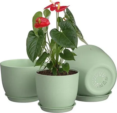Produktbild von Famanu Blumentöpfe Set 20/23/26 cm - Kunststoff mit Drainagelöchern und Untersetzern