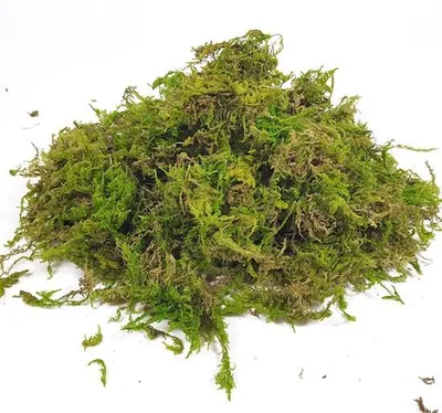 Obrázok produktu pre Prírodné kryštalické rašelinové substráty pre orchidey, teráriá a bonsaje, 150 g