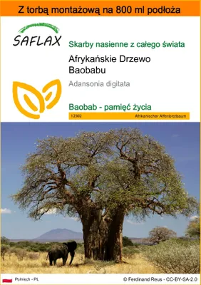 Zdjęcie produktu dla SAFLAX - Garden in the bag - Afrykańskie Drzewo Baobabu - 6 Nasiona - Z podłożem uprawowym w praktycznej, samorozkładającej się torbie - Adansonia digitata
