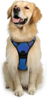 Produktbild von Famanu Hundegeschirr Verstellbar - Schwarz, Rosa, Blau, S, M, L, XL