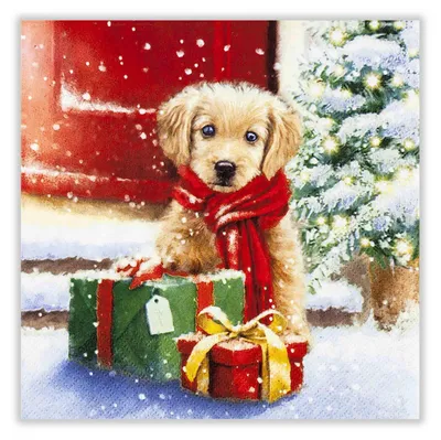 Ein niedlicher Welpe mit rotem Schal sitzt vor einer verschneiten Tür neben zwei weihnachtlich verpackten Geschenken und einem geschmückten Tannenbaum während Schneeflocken sanft vom Himmel fallen