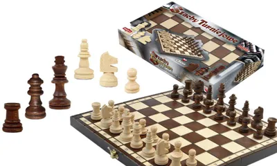 Imagen del producto de Torneo de ajedrez para niños