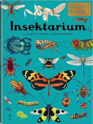 Image de Insectarium. Musée des insectes
