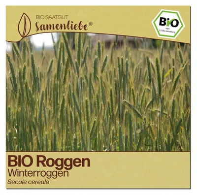 Produktbild von Samenliebe  Roggen Samen | Winterroggen - winterhart - samenfestes  Saatgut