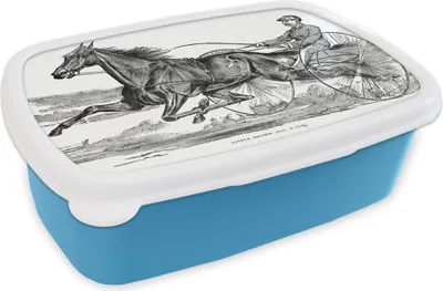 Produktbild von KitchenYeah® Lunchbox Brotzeit Brotdose 17x11 cm Eine Illustration eines Pferdes in der Trabrennbahn Kinder Brotzeitdose - Lunch - Kunststoff  - Brotbüchse - Sandwichbox - Lunchbox für Kinder