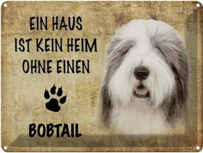 Produktbild von vianmo Blechschild 30x40 cm Bobtail Hund ohne kein Heim