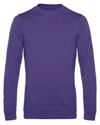 Image de B&C - Sweatshirt pour hommes, manches raglan, modèle FK146 (Taille L) (Violet intense)