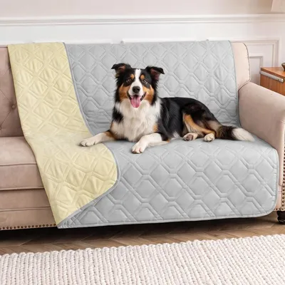Immagine prodotto di Coperta impermeabile antiscivolo per cani, 100x127 cm, color grigio chiaro