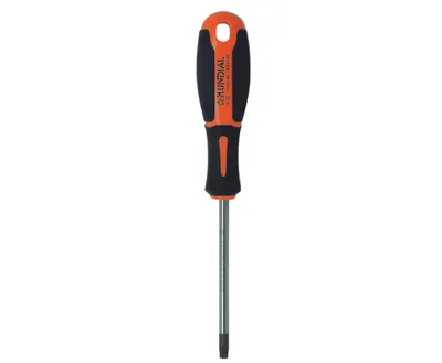 Image de Embout de tournevis Torx TX 15x80 (universel)