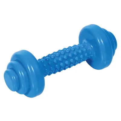 Zdjęcie produktu dla Hantla Togu® mini wykonana z rutonu, 1 kg, niebieska