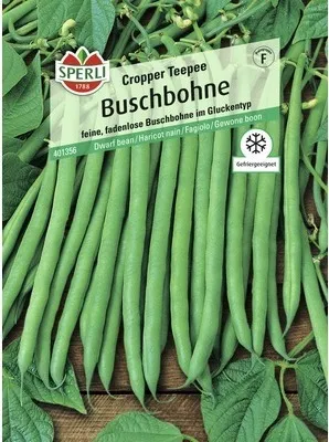 Produktbild von Buschbohne 'Cropper Teepee' Sperli Gemüsesamen