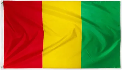 Produktbild von Flagge von Guinea – Flagge Guineas – Flagge der Republik Guinea – Guinea-Conakry – 150/90 cm – Polyester – WK – CHPN