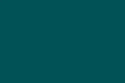 Immagine prodotto di 10XKNORR prandell 218436460 Filz1mm20x30cm t.gn