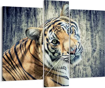Produktbild von Bild auf Leinwand - Leinwandbild - Indien stein tiger wild - 95x80cm - Wand Bild - Wanddeko - Leinwanddruck - Bilder - Kunstdruck - Wanddekoration - Leinwand bilder - Wandkunst - CB95x80-2464