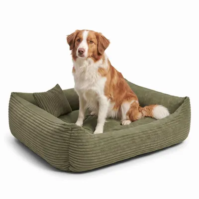 Produktbild von 4L Textil MOLLY Hundebett aus Cord mit erhöhtem Rand, abnehmbarer waschbarer Bezug, für große Hunde, 120x100 cm, Olivgrün