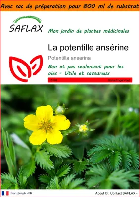 Image de SAFLAX Garden in the bag - La potentille ansérine - 20 graines - Potentilla