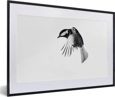 Produktbild von MuchoWow® Gerahmtes Poster Vogel - Federn - Schwarz - Weiß 60x40 cm - Poster mit Schwarzem Bilderrahmen Wandposter Rahmen Foto Bilder - Schlafzimmer - Plakat in Rahmen - Drucken
