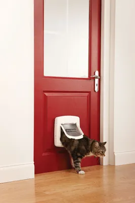 Immagine prodotto di PetSafe Gattaiola magnetica a 4 vie Deluxe 400 Bianco