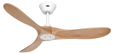 Immagine prodotto di ECO GENUINO 122, Ventilatore senza Luce, CasaFan