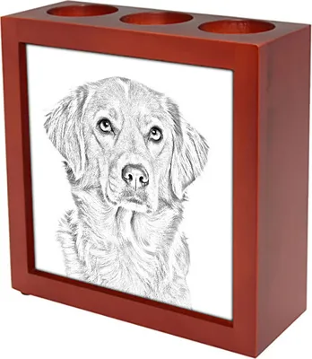 Produktbild von Nova Scotia Duck Tolling Retriever, Toller - Stifthalter mit Hund, Schreibtischorganizer mit Aufdruck, personalisierte Schreibtischdekoration der Marke Art-Dog