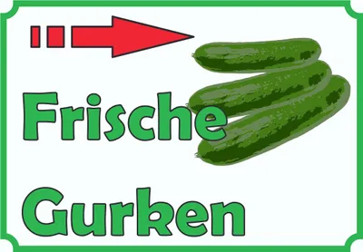 Produktbild von Frische Gurken Verkaufsschild Schild  Pfeil rechts A1 Rückseite selbstklebend