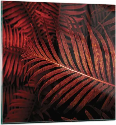 Produktbild von Bilder auf glas - Einteilig - Rot Blätter Palmen - 30x30cm - Glasbilder - Wandbilder - Bilder - zum Aufhängen bereit - Wanddekoration aus Glas - Glas Bilder - Wandbild auf Glas - GAC30x30-4816