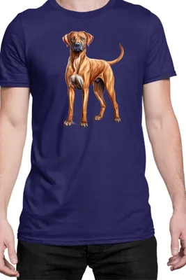 Obrázek produktu pro Pánské Tričko Dogs Breeds Rhodesian Ridgeback Dog Breed 005, Man S / Tmavě modrá