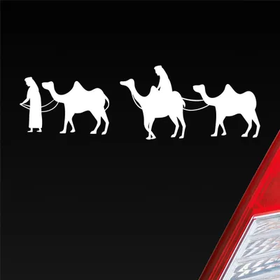 Produktbild von Auto Aufkleber Ägyptische Karawane Caravan Ägypten Egypt Car 19x6 cm Weiss Matt Sticker Heckscheibenaufkleber