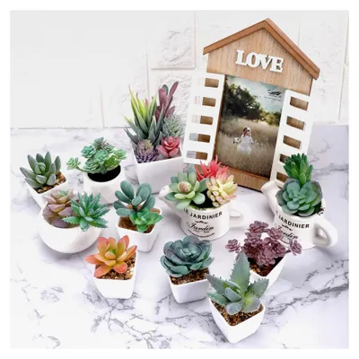 Produktbild von künstliche beflockte Sukkulenten, Mini-Sukkulenten, Dekoration für Heimwerker, Basteln, Zuhause, Blumenwand, Garten, Bürodekoration, 20 Stück