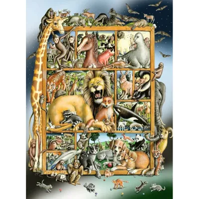 Image de Animaux sur l'étagère Ravensburger 12000862