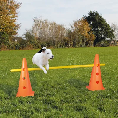 Produktbild von Pylonen-Hürde für´s Agility