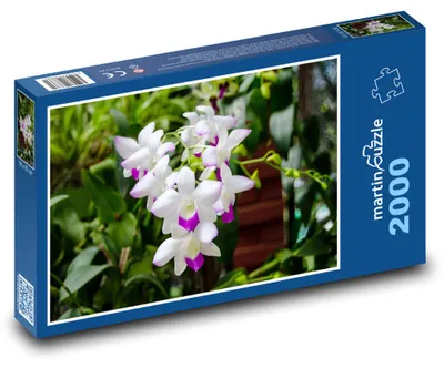 Produktbild von Puzzle 2000 Blühende Orchideenpracht - martinpuzzle