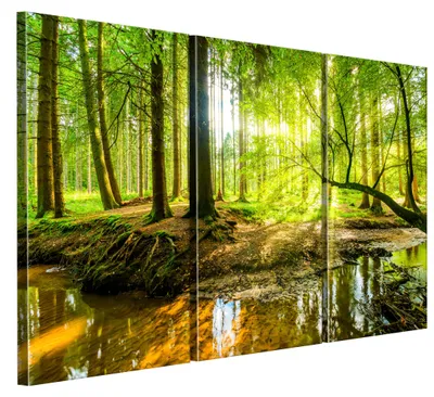 Produktbild von LUMASOUL Leinwand Bilder, Leinwandbild Natur Motiv, Wandbilder Holzrahmen und Webstuhl Wohnzimmer und Schlafzimmer, Bilder 90x60 cm Eklektisch Wald 08