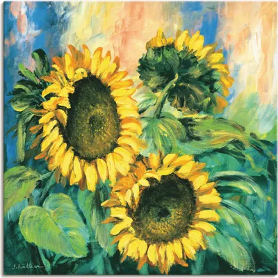 Produktbild von ARTland Leinwandbild Sonnenblumen II Größe: 40x40 cm