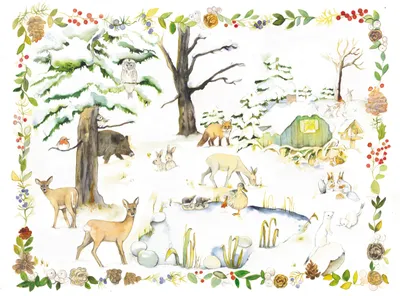 Produktbild von Adventskalender "Tiere am Winterteich"