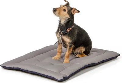 Produktbild von gepolsterte Wendedecke 75 x 55 cm, schwarz/grau bei 95°C waschbar für Hunde