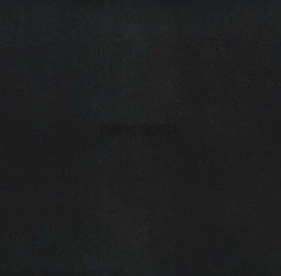 Zdjęcie produktu dla Vince Staples - Dark Times (LP)